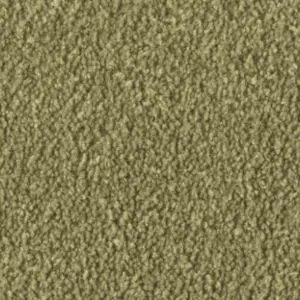 Fascination, Alba - 4H84 4-Meter Breit Teppichboden