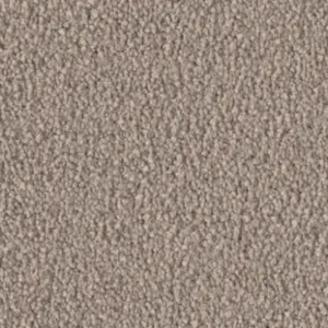 Fascination, Violetta - 54A9 5-Meter Breit Teppichboden