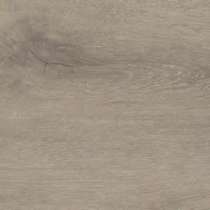 Tritty 100 Gran Via, Tritty 100 Gran Via 4V Silent Pro - Eiche Veneto mocca