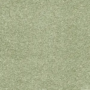 Glory - 20 4-Meter Breit Teppichboden