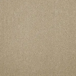 Zen - 39 5-Meter Breit Teppichboden