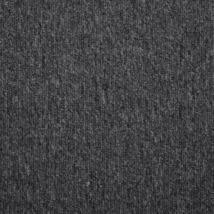 Medusa, Maverick Wall to Wall - 99 4-Meter Breit Teppichboden